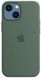 Чохол Apple Silicone Case with MagSafe Eucalyptus для iPhone 13 Mini MN5Y3ZM/A 1912650112 фото 1