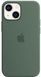 Чохол Apple Silicone Case with MagSafe Eucalyptus для iPhone 13 Mini MN5Y3ZM/A 1912650112 фото 3