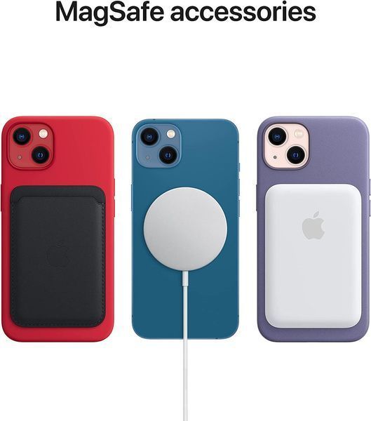 Чохол Apple Silicone Case MagSafe Pink Pomela для iPhone 13 MM253ZE/A 1830315885 фото