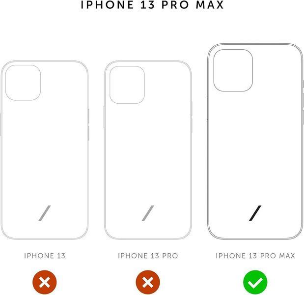 Чехол Native Union Clic Pop Magnetic Sage для iPhone 13 Pro Max 2020620244 фото